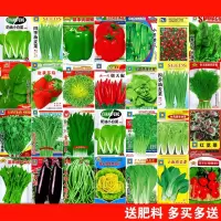 蔬菜种子古达四季播盆栽阳台庭院香菜青菜萝卜生菜小葱菠菜籽孑大全