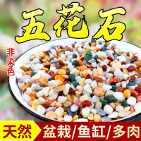 天然彩石多肉盆栽铺面石子古达鹅卵石鱼缸造景底砂种花装饰五彩小石头