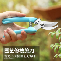 剪刀树枝粗枝摘果剪果树古达家用多功能修枝剪花艺剪工具
