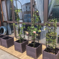 阳台种菜深花盆古达楼顶专用葡萄蔷薇月季花箱花槽大号果树盆50种植箱