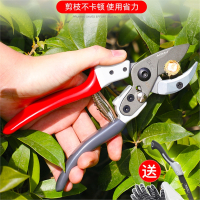 艾瑞泽剪枝剪刀日本钢刀头剪树枝修果树花剪园林园艺修枝剪工具