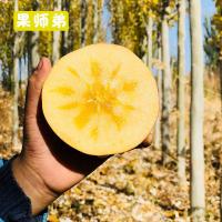 新疆阿克苏冰糖心苹果新鲜当季水果丑萍果甜特级大红富士整箱10斤