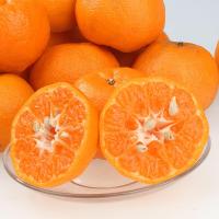 衢州农家椪柑 橘子丑桔甜橘芦柑 新鲜水果 10斤 礼盒装