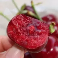 车厘子新鲜水果山东吃货大连樱桃美早孕妇应当季整箱5斤装 2500g 中果