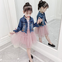 迪鲁奥(DILUAO)儿童装女童套裙儿童秋装女宝宝2三四5五六6七岁小女孩子韩版外套背心纱裙子洋气两件套