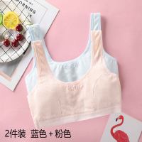 迪鲁奥(DILUAO)女童育期小背心内衣9-10-11-12-13-15岁小学生女孩中大童棉文胸