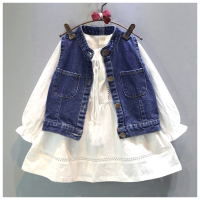 迪鲁奥(DILUAO)春女童套装儿童马甲+长袖连衣裙两件套套装 图色
