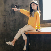 迪鲁奥(DILUAO)童装女童套装秋装3-12岁儿童秋装两件套韩版淑女装色