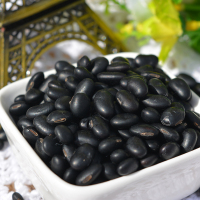 老黑豆 农家自种 黄芯老黑豆 陕北大黑豆五谷杂粮500g 东方红食品