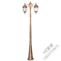 苏宁精选欧式路灯庭院草坪灯防水灯户外灯景观公园别墅小区双头3米高杆灯唐晶