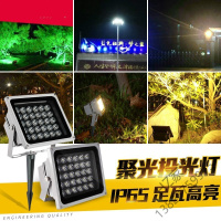 苏宁优选 景观射灯 100W照树灯绿化工程灯射树灯七彩led投光灯彩色户外防水唐晶