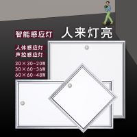2021新款 集成吊顶LED智能平板灯过道卫生间浴室嵌入式人体感应声控面板灯唐晶