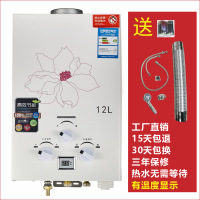 广东劲雪燃气热水器烟道式热水器家用热水机带烟管液化气管道 12L高配+烟管 瓶装液化气