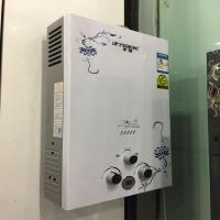 家用快速燃气电热水器 智能数码显示 天然液化气 10升L全铜水半球 天然气烟道式