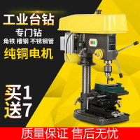 阿斯卡利(ASCARI)台钻台式钻床多功能电钻550W750W小型家用全铜钻16MM工业级大功率 Z516台钻550W三