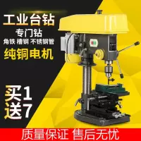 阿斯卡利(ASCARI)台钻台式钻床多功能电钻550W750W小型家用全铜钻16MM工业级大功率 Z516台钻550W三