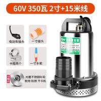 阿斯卡利(ASCARI)锂电池浇花潜水泵高扬程超家用全套便携抽水机接汽车小马达抽水器 2寸60V350W(不锈钢叶轮)1