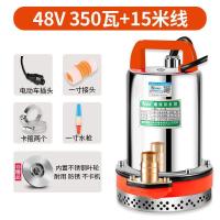 阿斯卡利(ASCARI)锂电池浇花潜水泵高扬程超家用全套便携抽水机接汽车小马达抽水器 48V350瓦(不锈钢叶轮)15米
