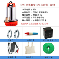 阿斯卡利(ASCARI)农用户外灌溉浇菜浇花洗车便携充电式电瓶车12V大流量抽水潜水泵定制 12AH充电式套餐+配件+2