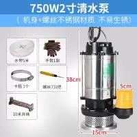 阿斯卡利(ASCARI)220V不锈钢水泵农用排污泵 污水泵 家用抽水泵潜水泵灌溉农用 750瓦2寸污水泵