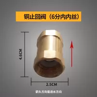 水泵压力罐二合一止回 补气阀 水表纯铜止回阀全铜逆止阀6分1寸 6分内内丝止回阀(全铜)