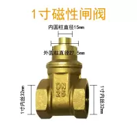 自来水阀钥匙阿斯卡利 4分6分1寸暖气表前带锁闸阀圆柱磁铁阀开关物业 1寸磁性闸阀不带钥匙