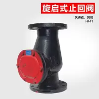 H44T管道法兰旋启式止回阀阿斯卡利污水泵用立式止回阀单向阀 逆止阀dn100 DN100普通
