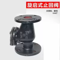 H44T管道法兰旋启式止回阀阿斯卡利污水泵用立式止回阀单向阀 逆止阀dn100 DN50普通