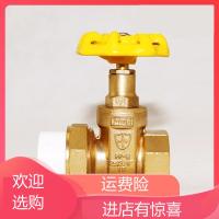 PPR内丝活接闸阀 阿斯卡利活接阀 全铜PPR内丝阀 全铜阀 20