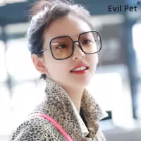 太阳镜眼镜女圆脸茶色蹦迪显脸小潮墨镜韩版个性超大框方框网红款