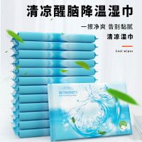 湿巾清凉醒脑提神湿巾降温纸巾开车熬夜防困冰爽薄荷柠檬湿纸巾|60片/随身装五包 【提神醒脑】【清凉除汗】