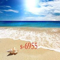 海景背景布背景墙女男主播背景布海边沙滩拍照背景墙纸3d背景|s-6955 2米宽2米