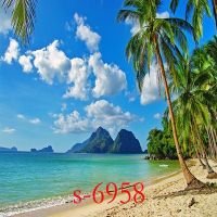 海景背景布背景墙女男主播背景布海边沙滩拍照背景墙纸3d背景|s-6958 2米宽X1.5米卷发