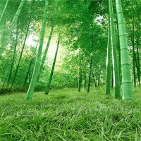 主播背景布墙纸装饰背景布快手拍视频外景新款竹林背景布|392 2米宽*2.5米（需要拼接）