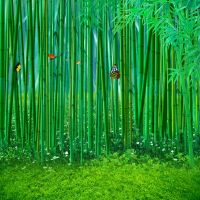 主播背景布墙纸装饰背景布快手拍视频外景新款竹林背景布|616 1.5米宽*2米竖副