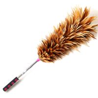 鸡毛禅子汽车家用扫灰除尘不易掉毛墙面天花板可伸缩鸡毛掸子毯子|120厘米普通伸缩