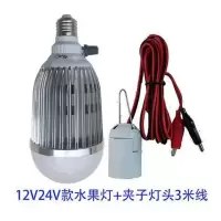 调色水果灯12v24v48v60v72v电瓶车专用交流电220v卖水果|12v24v水果灯+3米灯头线夹子 红绿蓝三色