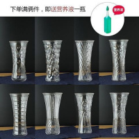 养富贵竹花瓶摆件家用客厅透明玻璃花瓶大号餐桌水培鲜花插花花瓶 25中号水晶(花纹随机)