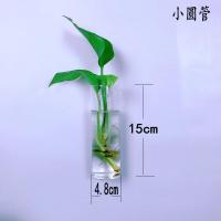 创意墙上挂壁挂墙花盆绿萝墙壁挂件悬挂式水培玻璃花瓶墙面装饰品 小圆管+配件(不含植物)透明