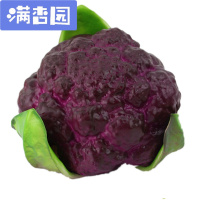 舒弗(LACHOUFFE)仿真花菜西兰花紫花菜PU菜花青花菜花椰菜模型橱柜装饰道具早教具