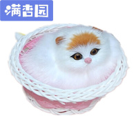 舒弗(LACHOUFFE)仿真猫咪公仔玩具会叫带框迷你小猫模型少女心桌面摆件