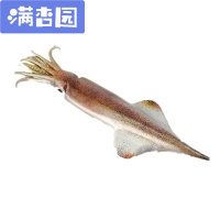 舒弗(LACHOUFFE)假大鱿鱼模型食物模型 高仿真水产海鲜乌贼模具 展示样品儿童玩具 大鱿鱼(随机一个)