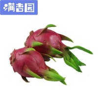 舒弗(LACHOUFFE)蔬菜模型玩具家居橱柜装饰品仿真水果高仿真加重型逼真火龙果深灰色PU小火龙果