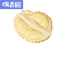 舒弗(LACHOUFFE)仿真水果模型道具PU榴莲果蔬摆件水果店样板橱窗橱柜装饰商场摆设 半开榴莲一个