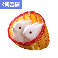 舒弗(LACHOUFFE)仿真兔子摆件节日礼品十二生肖小兔子公仔毛儿童玩具摄影道具