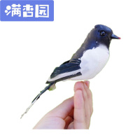 舒弗(LACHOUFFE)仿真泡沫羽毛小鸟摆件教学道具鸟园林装饰鸟配饰仿真小鸟