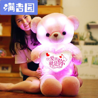 舒弗(LACHOUFFE)定制光玩具大泰迪熊公仔抱抱熊玩偶娃娃女生日送女友