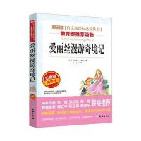 学校指定版爱丽丝漫游奇境记梦游仙境正版书 中小学生正版7-12岁青少年版儿童文学三年级四年级课外阅读书籍必读五六年级