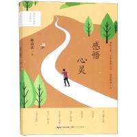感悟心灵 /林清玄启悟人生系列 当代散文集精选 /青少年 现当代文学美文林清玄散文全彩插图本 正版 邮