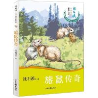 沈石溪十二生肖动物小说•旅鼠传奇/沈石溪主编奇幻动物短篇小说集小学生课外阅读书籍三四五六年级9-12-14岁儿童动物